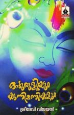 sreedevi-vijayan-book3